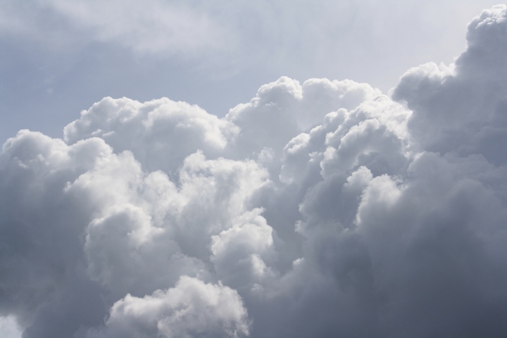 20110623-114220.jpg