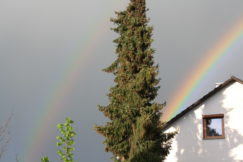 20130530-101139.jpg