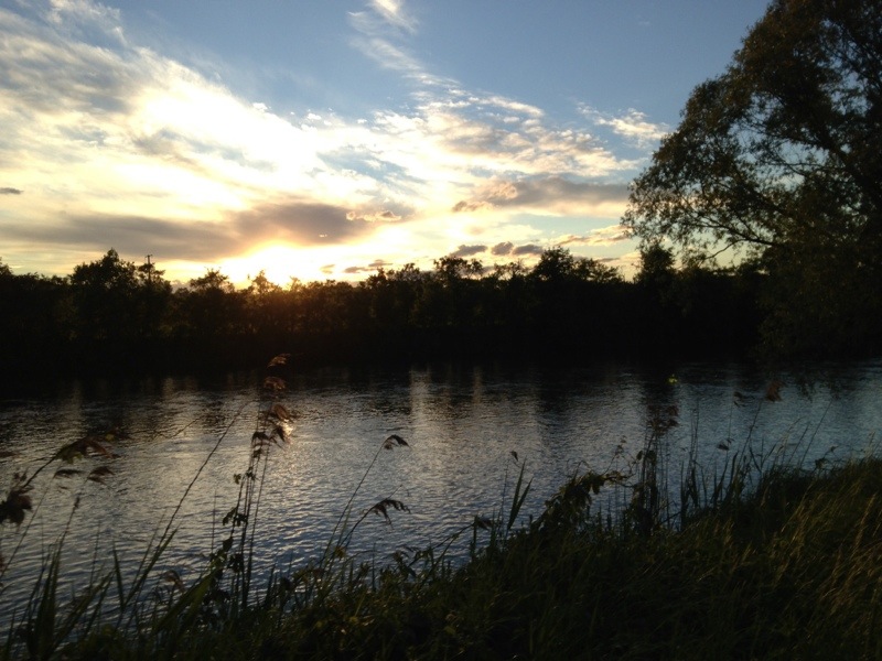 20130530-101934.jpg
